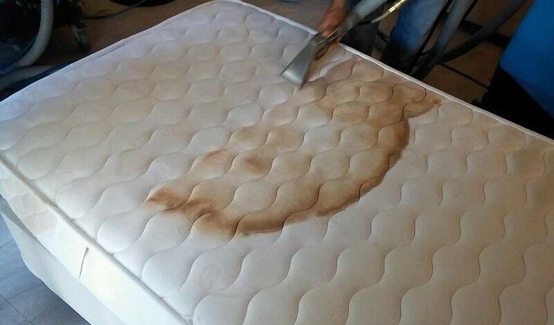 Remove Pee STAIN/SMELL (Out of Mattress) 